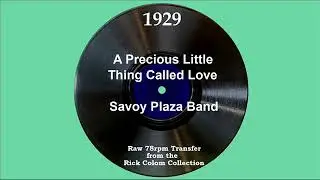 1929 Savoy Plaza Band - A Precious Little Thing Called Love (Cavan O’Connor, vocal)