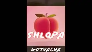 Gotvacha - Shlqpa/Spank