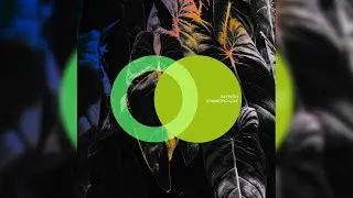 DA FRESH - SYMMETRIC LOVE (ALTERNATIVE MIX) (AREA VERDE)