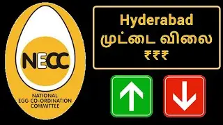 Hyderabad NECC Egg Rate Today 27 September 2023