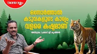 കടുവകൾ ഇല്ലാതായാൽ വലിയ പാരിസ്ഥിതിക പ്രശ്നങ്ങൾ ഉണ്ടാവും | Tiger Life | Pramod G Krishnan | Interview