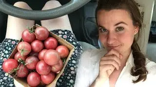 Fun & Fruity Friday!:  regaining your health on RAW FOODS + heirloom tomatoes!