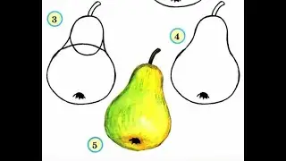 Pencil Sketch|Easy way to draw a  Guava