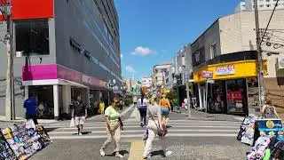CALÇADÃO DE PONTA GROSSA PARANÁ BRASIL BRAZIL 