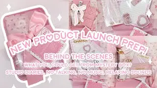 NEW PRODUCT LAUNCH PREPARATION | SILENT STUDIO VLOG | NO MUSIC, NO TALKING, RELAXING SOUNDS