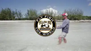 How To Hook Bonefish on a Fly Rod