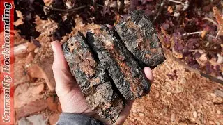 This Incredibly Unique Seam Agate Will Impress You!