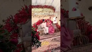 Elegant Muslim Wedding Decor & Live Music | Nikah Reception Ambience ✨ #wedding #bridalentry #event