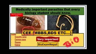 Medically Important Protozoa, Helminths & Arthropods | Common & Scientific Names, Diseases & Habitat