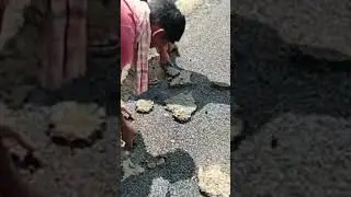 Corruption in road construction