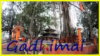 Gadhimai Mela | Gadhimai  Festival at Bariyarpur | Parsa | Bara | Birgunj | Nepal  Gadhi Mai | 2019