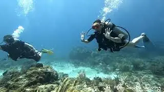 Scuba Diving MUSA Museum with A' Ha' Scuba Diving instructor Marin