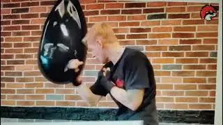 The Bullet Water Boxing Bag - 50L Aqua Bag By Fitness Hero
