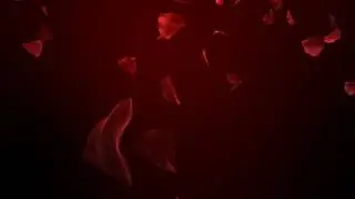 Футаж для видео монтажа Падающие лепестки роз на красном фоне