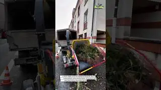 Powerful Wood Chipper Turns Tree Branches into Clean Mulch🙏