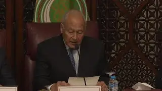 Libyan parties meet Arab League chief in Cairo in effort to resolve political impasse