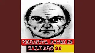 Calibro 22