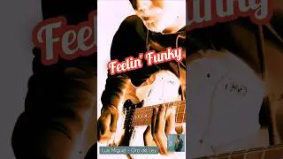 L. Miguel -Oro de Ley (guitar rhythm)                           #luismiguel #orodeley #fenderdeluxe