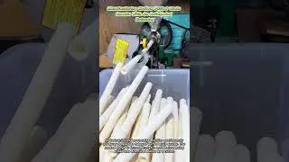 Manufacturing Hollow Puffed Grain Snacks With An Automated Extruder