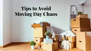 7 Tips to Avoid Moving Day Chaos