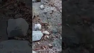 Nature break! #asmr #relaxing #nature #water