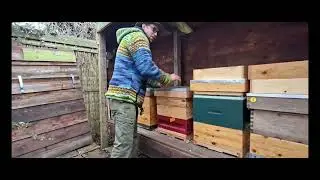 Winter hive inspection &ndash; February 1st