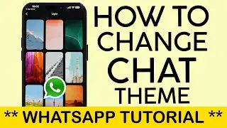 How to Change the Chat Theme on Whatsapp iPhone 16 2024