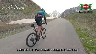 Cykelnerven