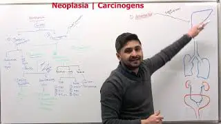 Carcinogen | Cancer | Subash Acharya