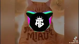 And DJ Meow meow 