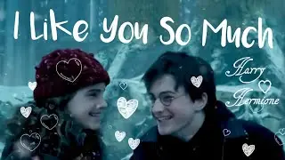 Harry Hermione (Harry Potter) - I Like You So Much, You'll Know It (Ysabelle Cuevas)