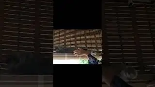 Bhayankara uoonjal aattam 😄
