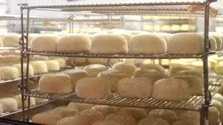 Cowgirl Creamery Tour