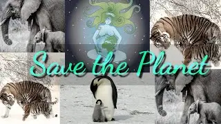 Save the planet - #forclimate #climatestrike #savetheplanet
