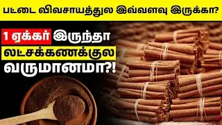 பட்டை விவசாயத்துல இவ்வளவு லாபம் பார்க்கலாமா? | Cinnamon Farming in Tamil