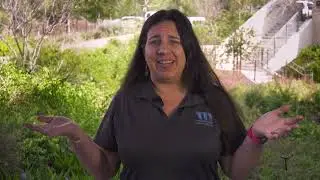 Sneaky Leaks: Irrigation Edition