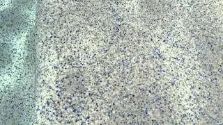 Отделка бассейна Wet Edge Shimmering Seas &mdash; Luke Pool Service www.lukepools.com