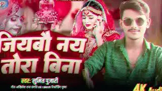 जियबो नै तोड़ा बिना ।। Jiyabo nai tora bina. ।। सुमित पुजारी, के_दर्दभरी_आबाज_में_रुलाने_बाला_गाना