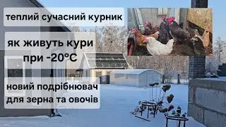 -20°С на дворі. Як живуть кури у новому курнику. Купили подрібнювач для зерна та овочів.