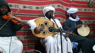 #محليات عيني تبكي على رڤيڤ الناب😍 الفنان مصطفى حيفضي