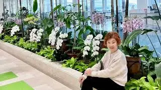 115年1月7日沖繩四日遊（5）