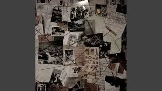 Кошечки-Собачки