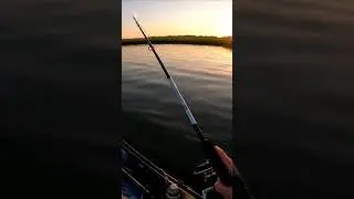 Catching Redfish every cast! #shorts