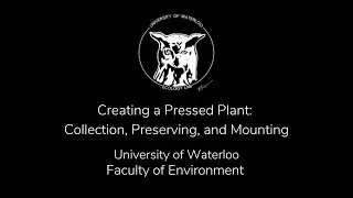 Creating a Pressed Plant: Collection, Preserving, and Mounting