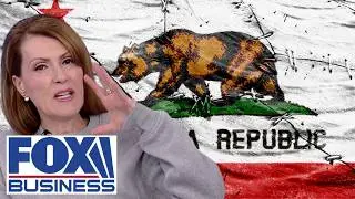 'LET THE STATE SINK': Dagen McDowell reveals who's to blame for breaking California