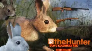 TheHunter Classic Как охотиться на Европейского кролика, американский кролика,зайца Помощь новичкам!