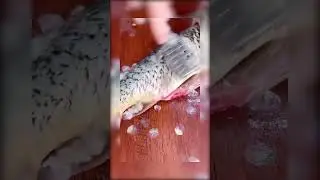 Stainless steel fish scale remover #uk #goodthing #hacks #homehacks