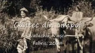 C&acirc;ntec ca la cimpoi / Bagpipe alike tune