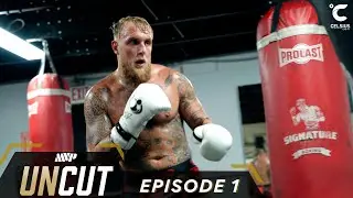 Jake Paul vs Mike Perry: MVP Uncut Series - Episode 1