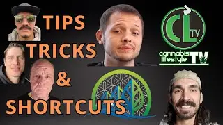 Роб из CLTV дал интервью Perfect Gardens